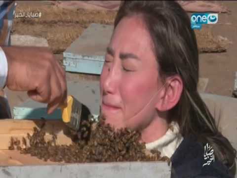 لحظة هجوم خلية نحل على الإعلامية ريهام سعيد