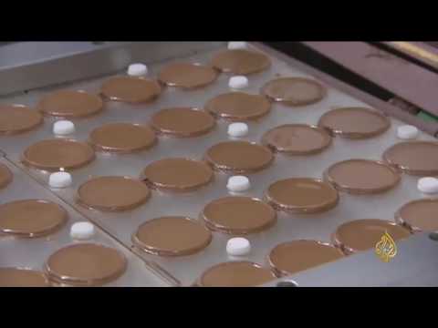 بالفيديو مراحل زراعة الكاكاو وإنتاجه في أفريقيا