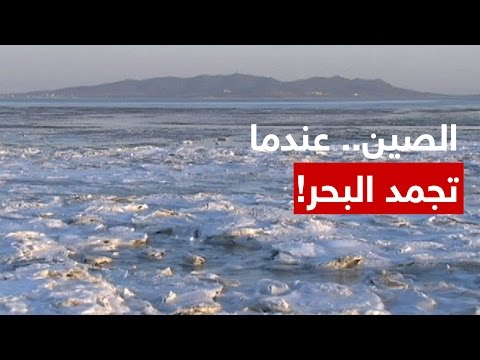 بالفيديو ليلة بكاء جو بايدن بعد مفاجأة باراك أوباما