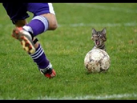 شاهد لحظات طريفة لن تُنسى في تاريخ كرة القدم