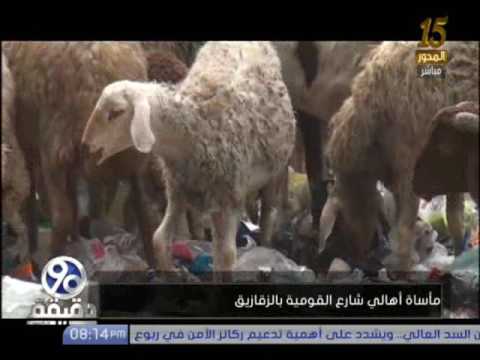 بالفيديو مأساة أهالي شارع القومية في منطقة الزقازيق