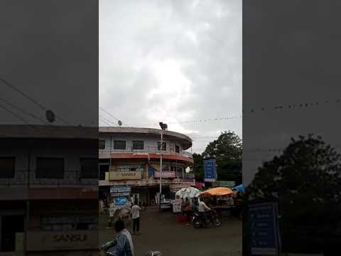 شاهد بقرة تنتحر قفزًا من أعلى مبنى تجاري في الهند