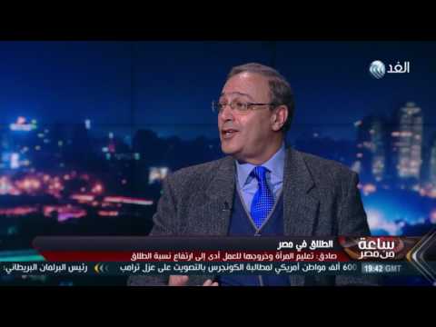 بالفيديو  أسباب ارتفاع نسبة الطلاق في مصر