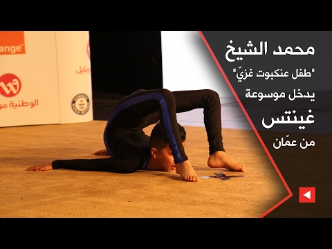 العنكبوت الفسطيني يحطّم الرقم القياسي في الالتفاف حول نفسه