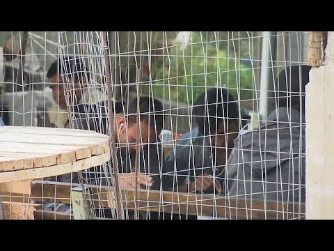 بالفيديو  النمسا تطلب مهلاً جديدة تعفيها من استقبال اللاجئين