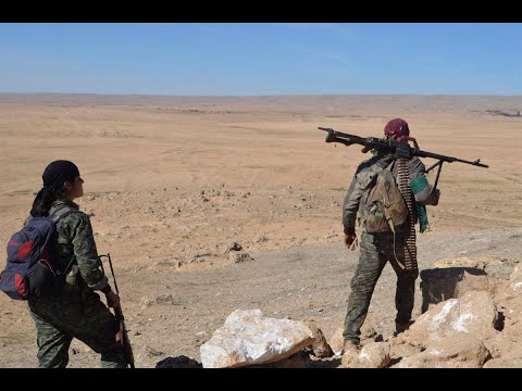 شاهد الرئيس الفرنسي والعاهل الأردني يناقشان جهود مكافحة الإرهاب