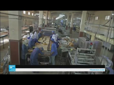 شاهد آثار كارثية على القطاع الصناعي في غزة