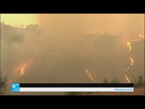 شاهد الحرائق مستمرة في التهام غابات البرتغال