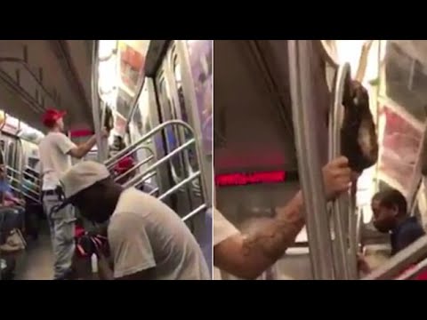 شاهد رجل يطلق ثعبانًا وسط عربة مترو الأنفاق