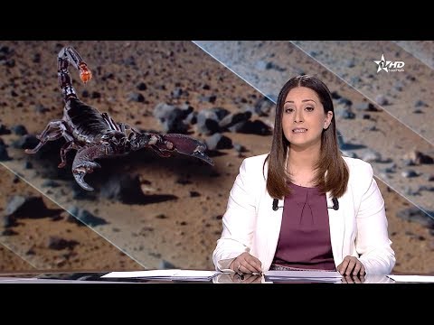 شاهد معاناة السكان القرويين مع لسعات العقارب في الصيف