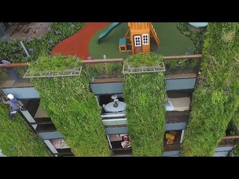 بالفيديو أكبر حديقة عمودية في العالم في كولومبيا