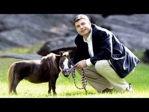 شاهد أصغر 10 حيوانات أليفة في العالم