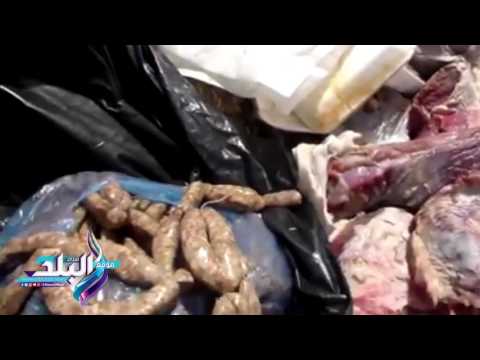 شاهد ضبط كميات كبيرة من اللحوم الفاسدة داخل مطعم شهر في مصر