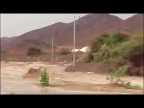 لحظة جرف السيول لجمل في السعودية