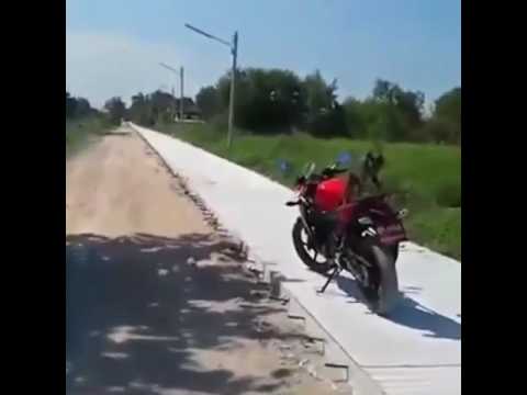 قرد ذكي يحاول سرقة دراجة نارية جديدة