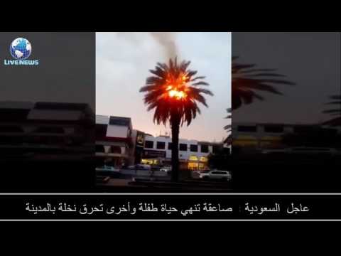 صاعقة تنهي حياة طفلة وأخرى تحرق نخلة في المدينة المنورة
