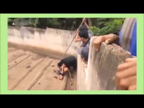 لحظة افتراس دب جائع لشاب سقط داخل قفصه