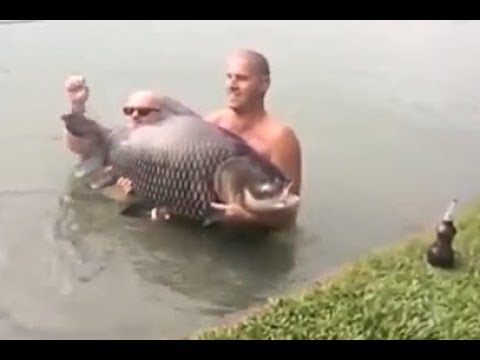 سمكة ضخمة تنتقم من صائدها أثناء محاولة تصويرها