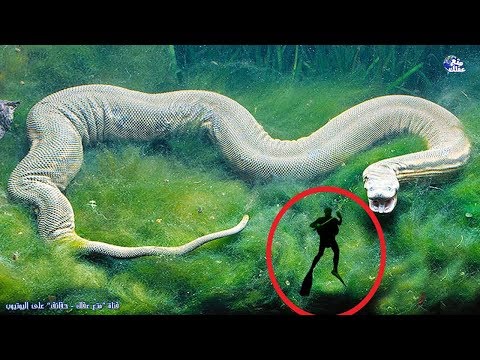 حقائق لا تصدق عن المحيطات وأعماقها الخفية