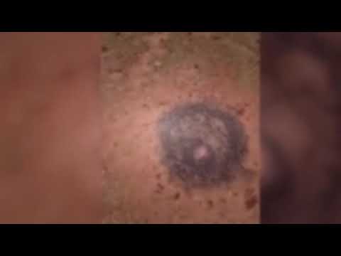 لقطات مروعة لسقوط نيزك في حديقة منزل