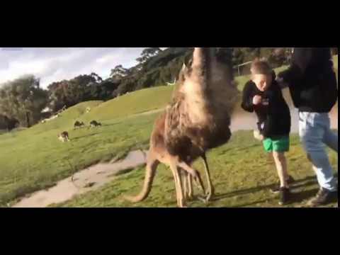 نغر يلكم طفلا في وجهه