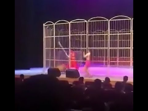 شاهد نمر يهاجم مدرّبه في عرض مذهل أمام الجماهير