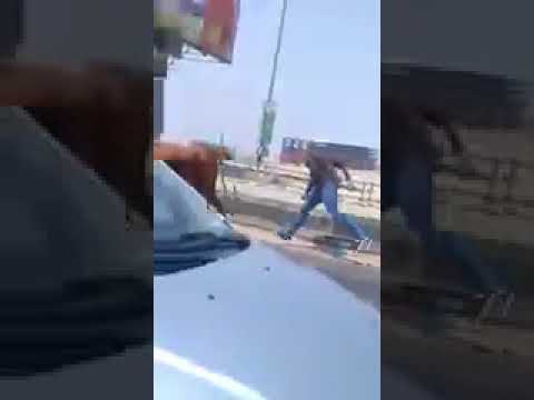 شاهد هروب عجل علي طريق الدائري في مصر