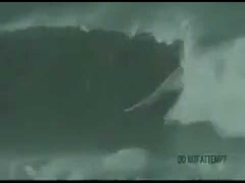 شاهد شخص يتحدى إعصار إيرما بالإبحار في المحيط