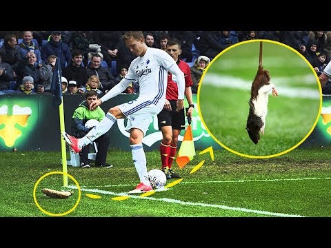 شاهد 9 أشياء غريبة ألقيت على أرض ملعب كرة القدم