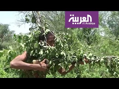 شاهد أنصار جماعة الحوثي يجبرون الأطفال على التجنيد