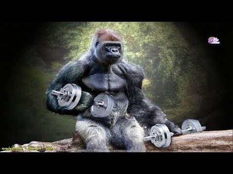 شاهد 15 حيوانًا يمتلكون عضلات خارقة أقوى من أبطال كمال الاجسام