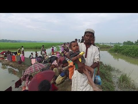 شاهد محنة اللاجئين الروهينغا في بنغلادش