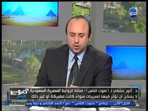 أنور عشقي ينفي تأثير التسريبات على دعم القاهرة
