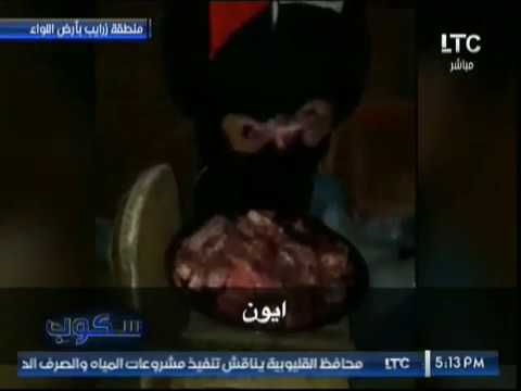 شاهد  كاميرا مُسرّبة تتسلل داخل مزرعهة للحمير وتكشف عن كارثة