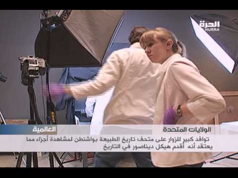 شاهد هيكل عظمي لوحش الماموث في مزاد علني