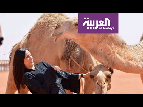قصة الأجانب مع الإبل في السعودية