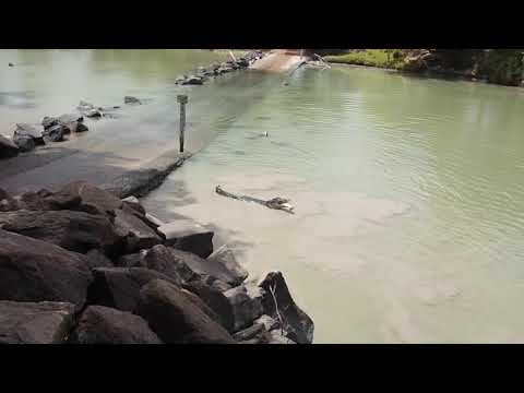 تمساح يسرق سمكة من صياد يشعل الإنترنت