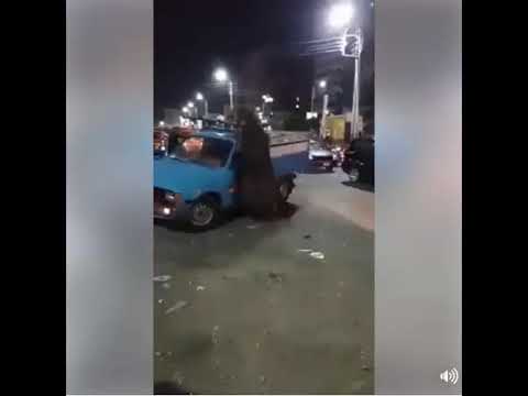 لحظة هروب عجل ضخم من أعلى سيارة