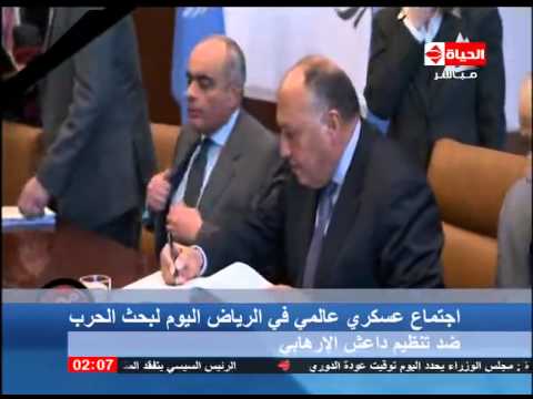 وزير الخارجية المصري يلتقي رئيس مجلس الأمن