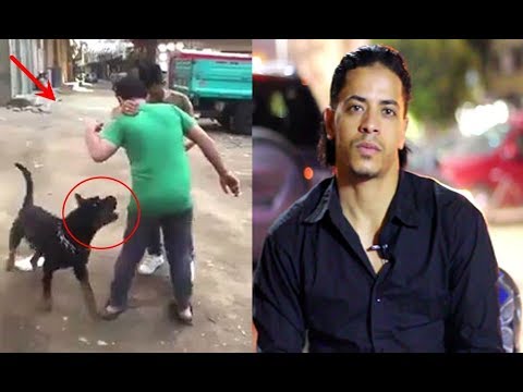 شاهد هذه نصائح نسر الكونغ فو بشأن أشهر قضية هجوم كلب في مصر علي شاب غلبان