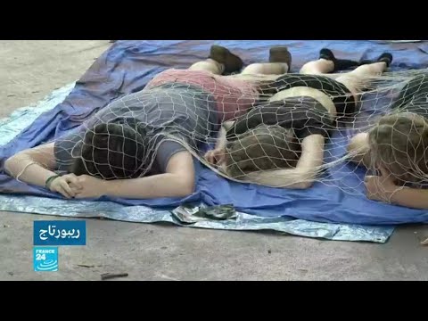 مطالبات  بوقف اعتدءات النباتين التي تهدف لتحقيق المساواة بين الإنسان والحيوان