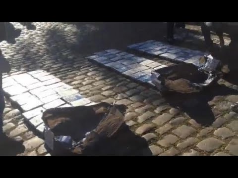 شاهد الشرطة الأرجنتينية تحرق كمية كبيرة من الكوكايين صادرتها من السفارة الروسية في بوينس أيرس