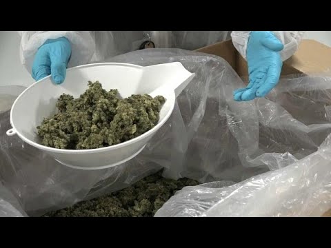 أطباء كنديون يدينون عدم مراقبة استهلاك الحشيش بعد تقنينه الوشيك