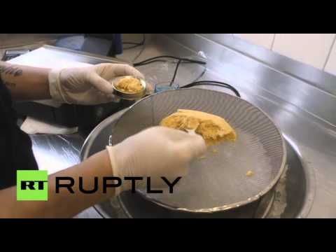 أغلى كافيار في العالم من سمك الألبينو