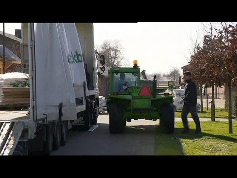 شاهد ظهور حالة جديدة من أنفلونزا الطيور في هولندا