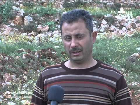 تواصل اعتداءات قوات الاحتلال الاعتداء على اراضي الفلسطنيين بالضفه