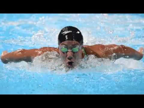 شاهد بالفيديو تقرير عن الفراشة فريدة عثمان