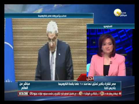 بالفيديو سعاد شلبي تُبرز أهمية المشاركة في قمة الكوميسا