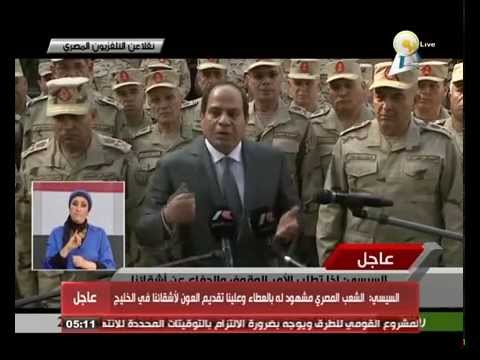 السيسي يؤكد بحثه الأمور بالشكل المؤسسي مع كافة جهات الدولة