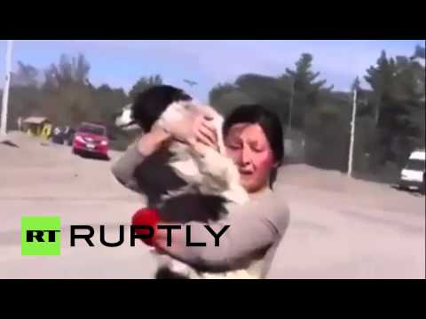 شاهد لقاء مؤثر بين امرأة وكلبها بعد فراق 5 أيام